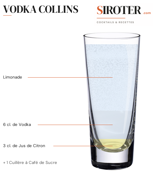 Fiche Cocktail – Vodka Collins