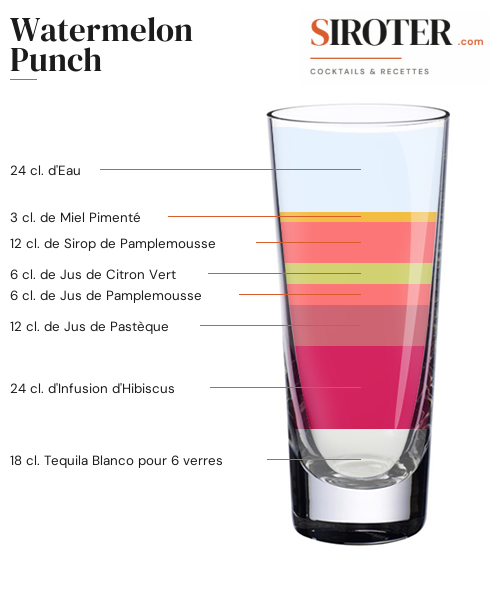Fiche Cocktail – Watermelon Punch