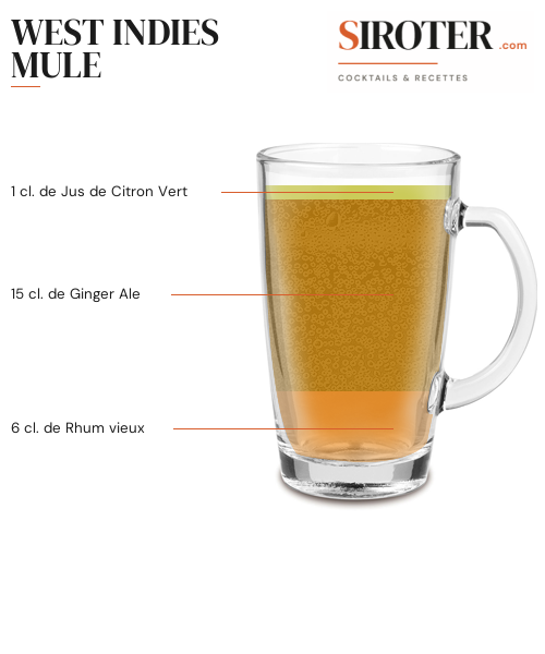Fiche Cocktail – West Indies Mule
