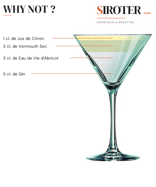 Fiche Cocktail – Why Not ?