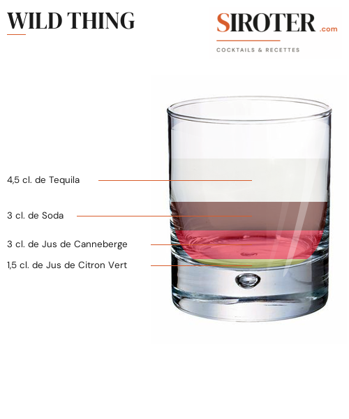 Fiche Cocktail – Wild Thing